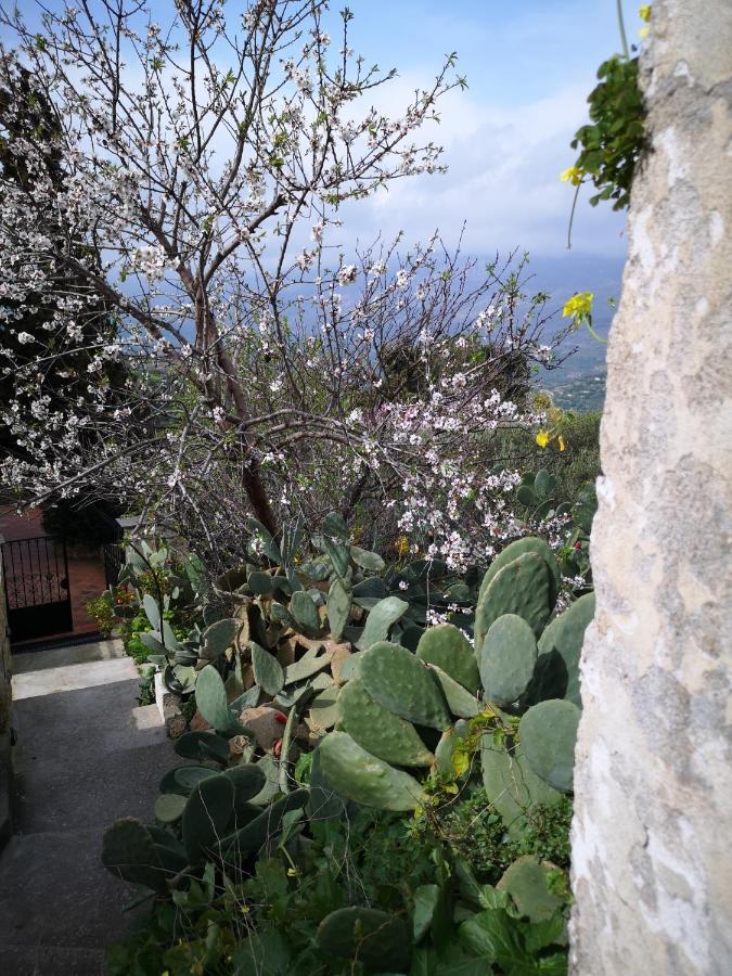 Casa Opuntia Villa Pappaygiannades Екстериор снимка
