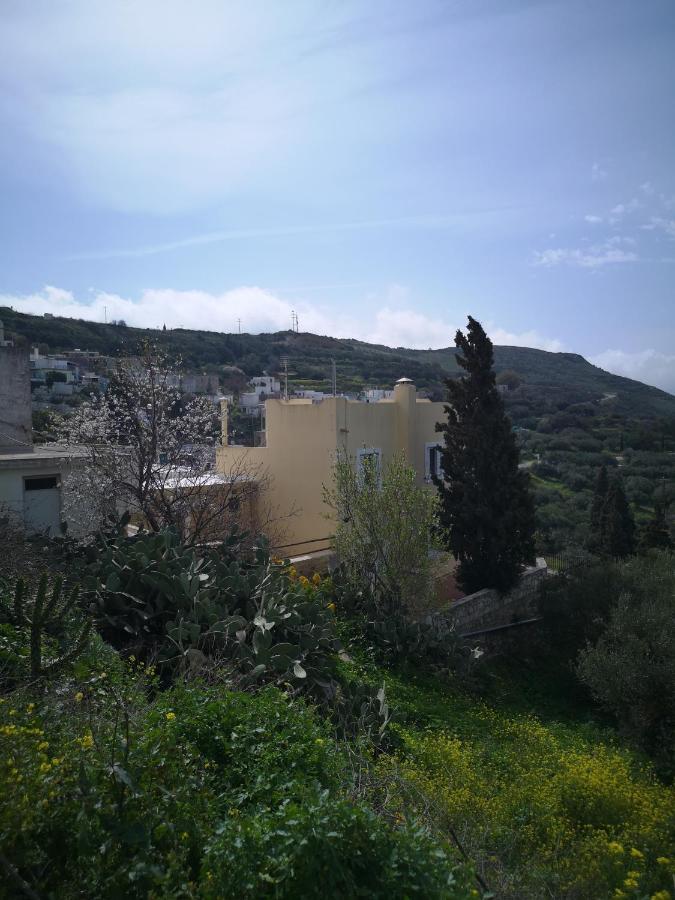 Casa Opuntia Villa Pappaygiannades Екстериор снимка